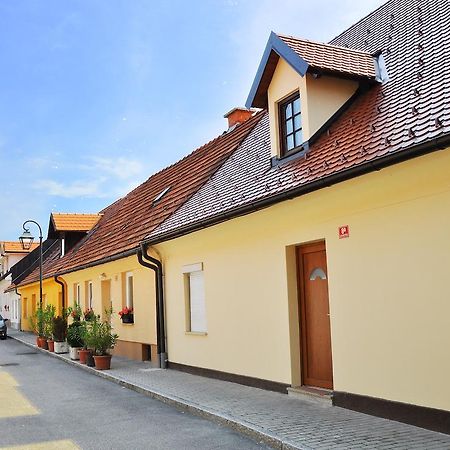 Apartment Gasa Brezice Room photo